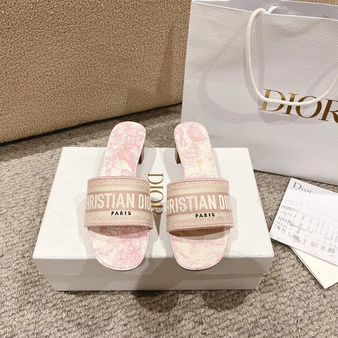 Dior Dway Embroidered Slide Sandals